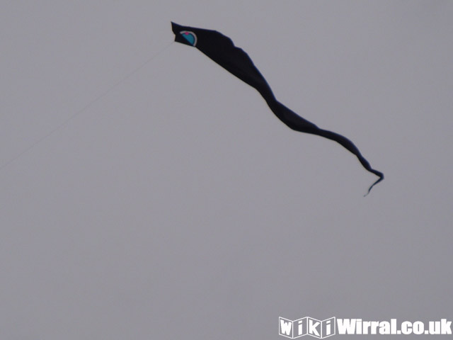 Attached picture Kite 1.jpg